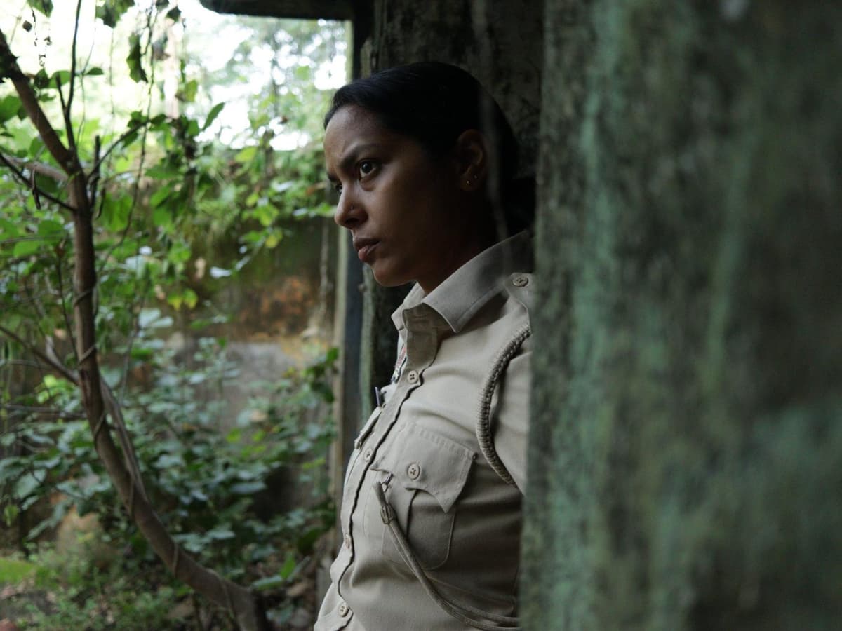 Explora los secretos del cine independiente